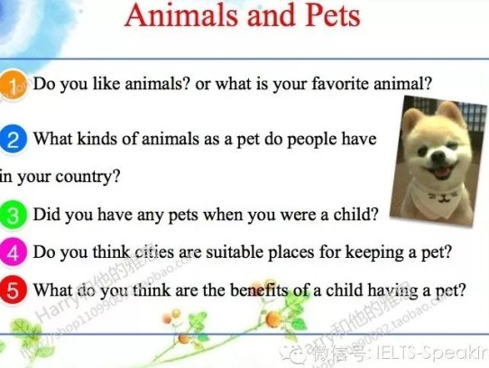  "Ultimate Quiz About Pets: Test Your Knowledge and Discover Fun Facts!"