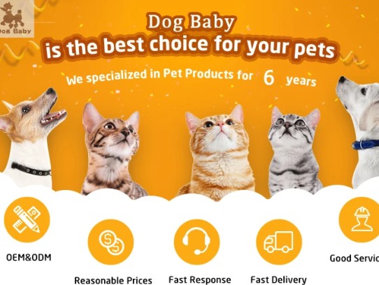  Discover the Best Products and Services at Roberts Pet Shop: Your Ultimate Destination for Pet Lovers