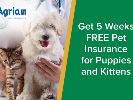  "The Ultimate Guide to Best Friends Pet Doctor: Your Trusted Companion for Pet Health"